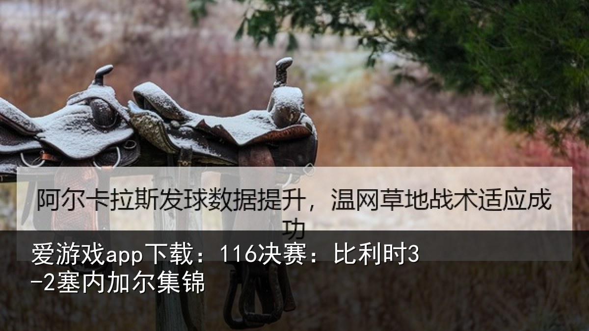 爱游戏app下载：116决赛：比利时3-2塞内加尔集锦