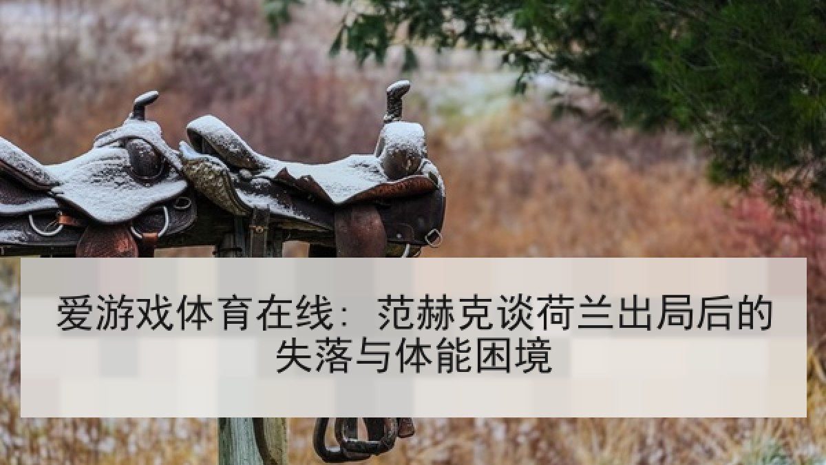 爱游戏体育在线: 范赫克谈荷兰出局后的失落与体能困境